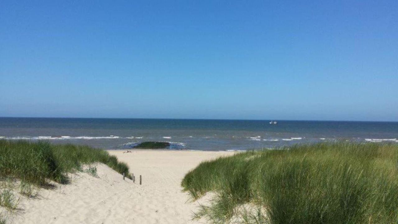 AreaSummer20KM AreaSummer20KM